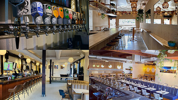 Venice Beach California Bar Hunt