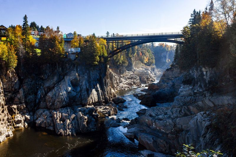 Grand Falls Forest Frolic Hunt Scavenger Hunt card image