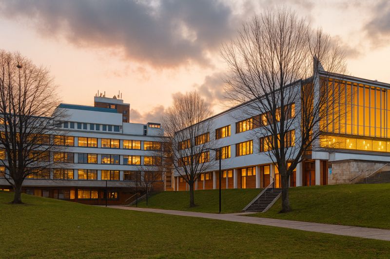 Hlavní fotka honu za pokladem v Lancaster University