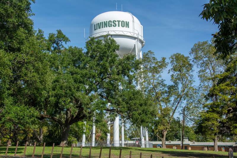 Livin‘ Large in Livingston Hunt Scavenger Hunt card image