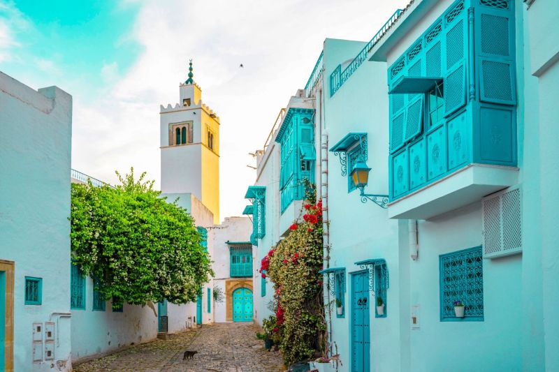 Sidi Bou Said Schattocht - Hoofdafbeelding