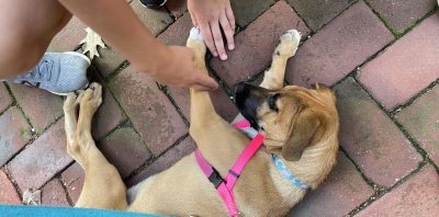 Frederick Scavenger Hunt Team Photo