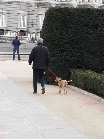 Madrid Scavenger Hunt Team Photo