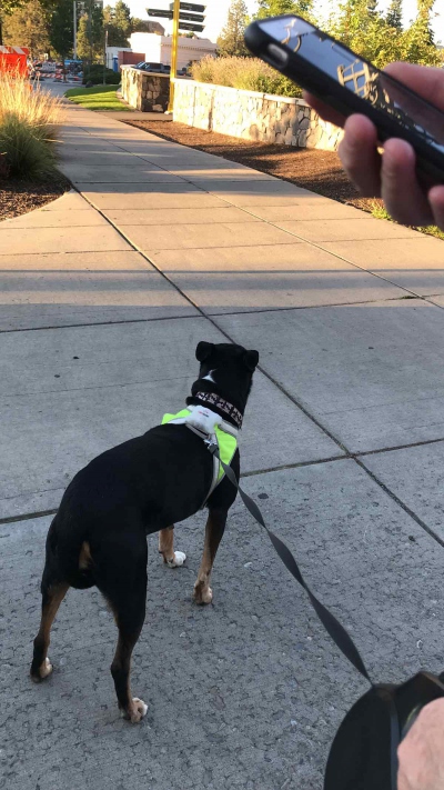 Spokane Scavenger Hunt Team Photo